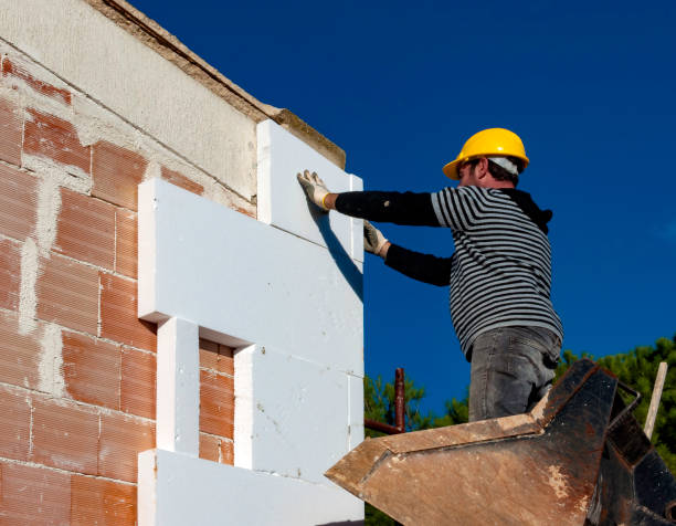 Best Insulation Maintenance and Repair in Douglas, AL
