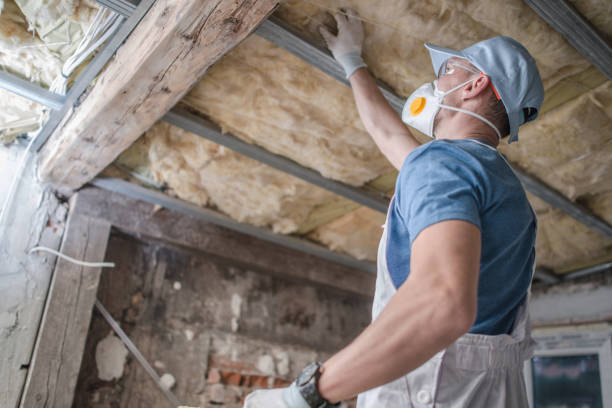 Best Insulation for Specific Applications in Douglas, AL