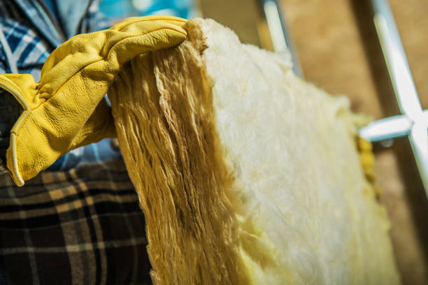 Best Residential Insulation in Douglas, AL